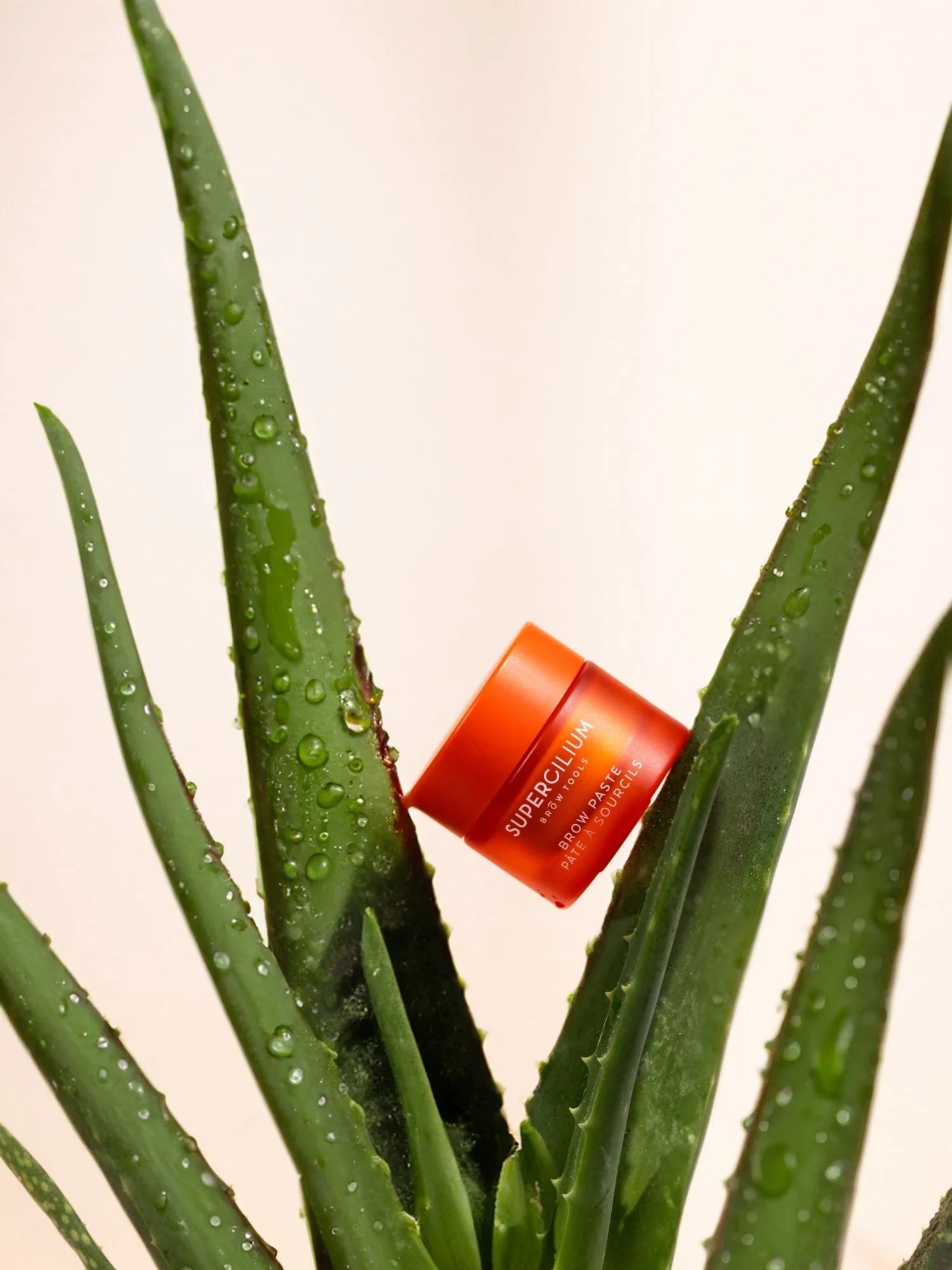 SUPERCILIUM® BROW PASTE